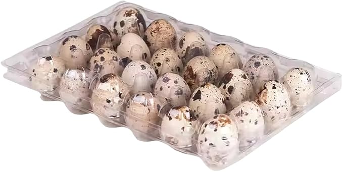 Jumbo Quail Egg Cartons with Custom Farm Labels for Coturnix Bobwhite Quail (24 Count, 50)