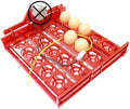 20 Egg Incubator Turn Eggs Tray Eggtester Automatically Turn The Eggs Experimental Teaching Equipment Voltage 220V / 110V / 12V(Without Motor)