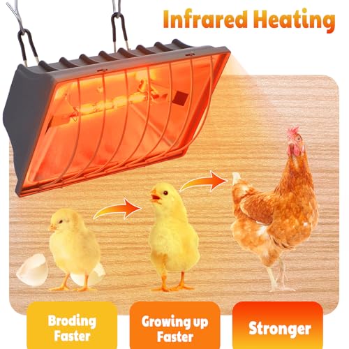 Tujoe 4 Pcs 250w Chicken Coop Heat Lamp Replacement for Pets Brooder Heater - mainly glass - Image 4