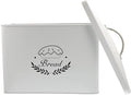 Large Rectangle Bread Box with Lid, Iron Kitchen Storage Box for Grain and Snack Organization, Metal Bread Bin for Countertop Food Storage