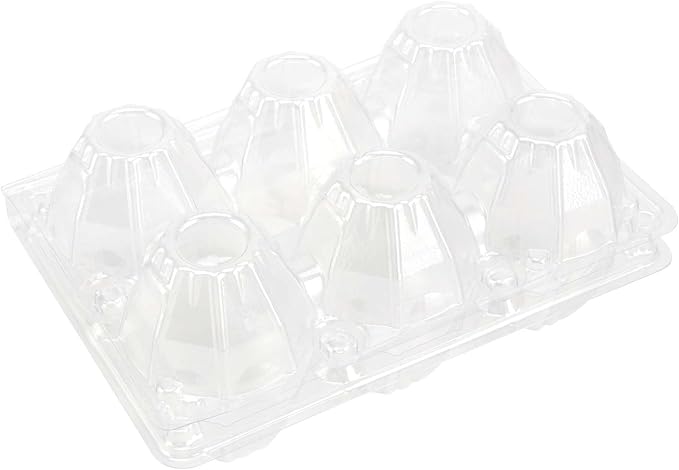 JAPCHET 150 Pack Clear 6 Egg Carton, Empty Plastic Egg Cartons for Chicken Egg Storage and Transport for Kitchen, Market and Farm
