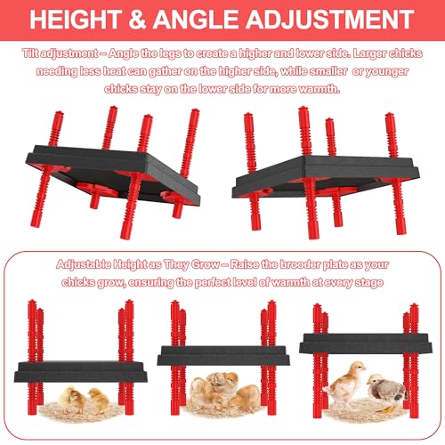 Chick Brooder Heating Plate with Anti Stand Cone - 12" x 12" with Fixed Temp, Black, Acrylonitrile Butadiene Styrene (ABS), 12"x12" Fixed Temp Black - Image 4