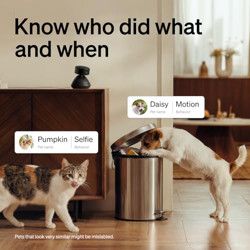 PETLIBRO Dog Camera with Phone App, 360° Auto Tracking Pet Camera Indoor with Phone App - Black, Cat & Puppy Camera with 2-Way Audio - Image 2
