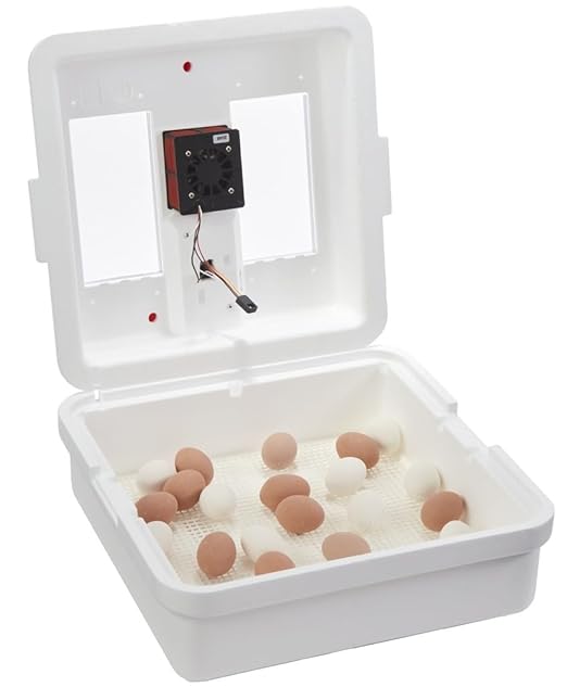 Little Giant® UL Circulated Air Incubator with Automatic Turner | Fits 41 Large Eggs | Chick Egg Hatching Incubator with Fan and Temperature and Humidity Control | Made in USA