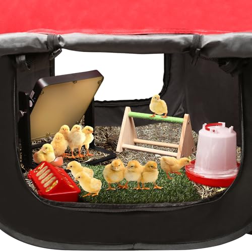 Brooder Box for Chick Starter Kit, 2026 Upgrade Dual Door Chicken Brooder Pen/Playpen/Tent - red, Cotton, 17 Pack - Image 6