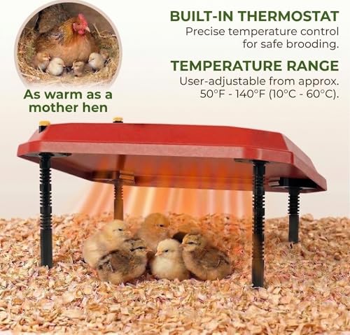 10"x10" Chick Brooder Heating Plate, Fire-Safe Adjustable Poultry Heater for Chicks - Polyester - Image 6