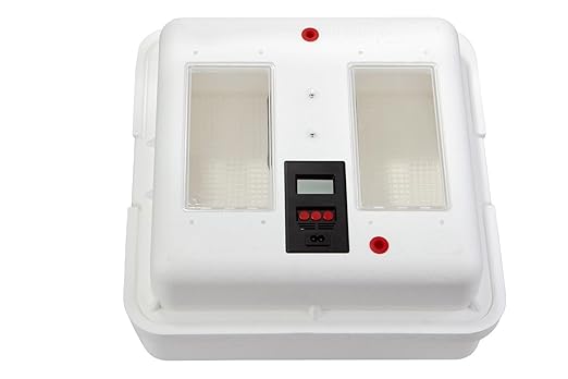Little Giant® Digital Still Air Incubator | 41 Egg Capacity | Chick Egg Hatching Incubator with Temperature and Humidity Control | Made in USA