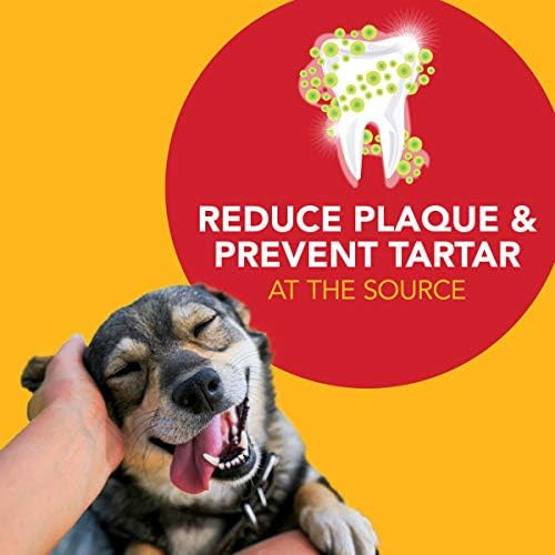 Petrodex Toothpaste for Dogs and Puppies,Cleans Teeth and Fights Bad Breath,Reduces Plaque-and Tartar Formation,Enzymatic Toothpaste,Peanut Flavor,2.5oz,(Pack of 2)
