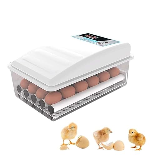 Egg Incubator with Automatic Turning, 36 Eggs Capacity, Digital Temperature Control, Dual Power, for Chicken, Duck, Goose, Birds