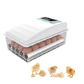 Egg Incubator with Automatic Turning, 36 Eggs Capacity, Digital Temperature Control, Dual Power, for Chicken, Duck, Goose, Birds