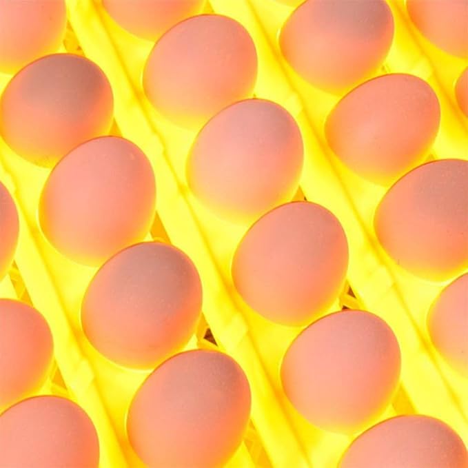 56 Egg Incubator Automatic Turning Digital Poultry Hatcher Temperature Humidity Control Built-in LED Egg Candler,for Chicken Duck Goose