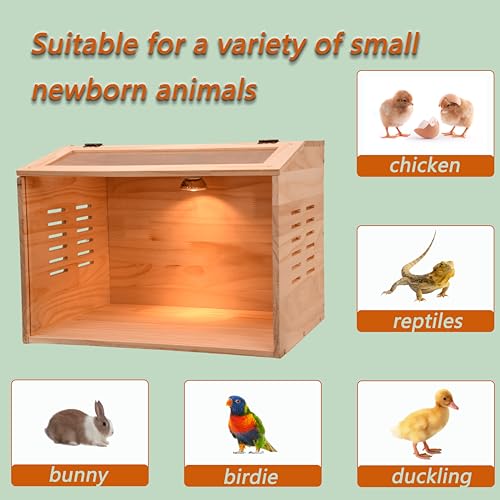 Brooder Box for Chicks, Chicken Brooder Box - 15.7"L x 12.0"W x 12.0"H, Acrylic & Wood, Chicken Heater - Image 4