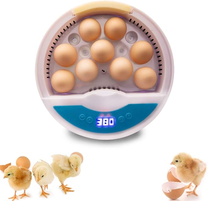 Hatching Egg Incubator, Egg Incubator with Automatic Temperature and Humidity Control, Mini Digital Poultry Hatcher Machine with 9 LED Lights Egg Candler Tester