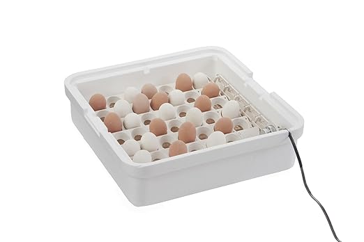 Little Giant® Digital Circulated Air Incubator with Automatic Turner | 41 Egg Capacity | Chick Egg Hatching Incubator with Fan and Egg Turner | Made in USA