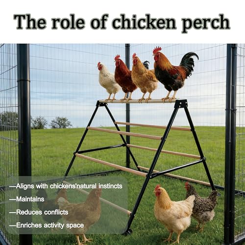 XCL Chicken Roosting Bars, Chicken Perch for Coop - natural wood color, Metal & Wood, for Adult Chickens (L) - Image 6