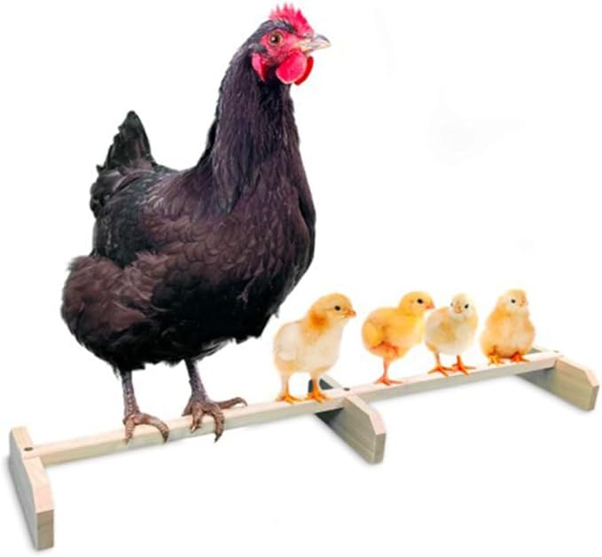 Balacoo Wooden Chicken Perch Roosting Bar Natural Bird Stand for Hens and Medium to Large Birds Safe Parrot Pet Coop Accessory for Secure Off Ground Resting