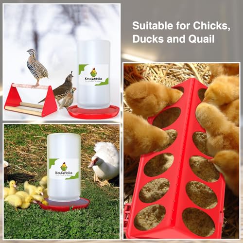 Chick Feeder and Waterer Kit, Baby Chicken Supplies with Chicks Perch - Red 1, Plastic, 5 Pack, Plastic Feeder Trough and 1.2L Waterer - Image 6