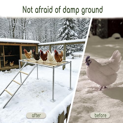 XCL Chicken Roosting Bars, Chicken Perch for Coop (Platform 42" L x 24" W) - Wood color, Galvanized pipe material & timber - Image 4