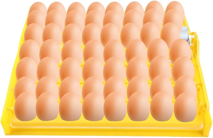 56 Egg Incubator, Automatic and Adjustable Egg Turning, Incubator for Chicken Eggs, for Hatching Poultry Chicken Duck Bird Quail (16.92x16.33x1.81 in Yellow 110V)