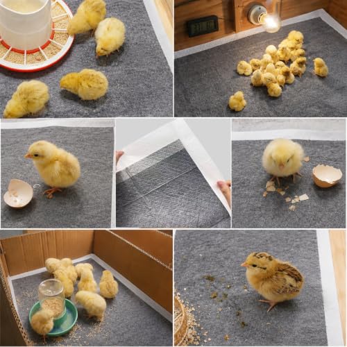 20 Pack Hatchling Liners for Little Chicken - 90 x 60 cm, Gray - Image 5