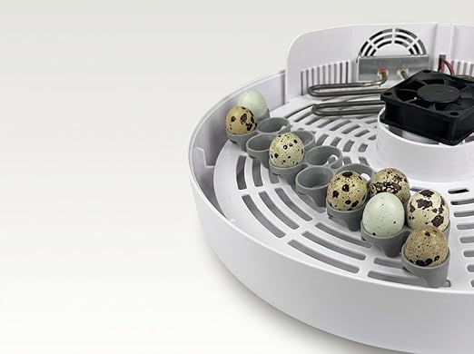 SplashNColor Quail Egg Tray Compatible with Maticoopx 20 Egg Incubator - Coturnix Quail Egg Rack - Compatible with Small Egg Incubators - Durable Egg Turner Accessory - 14 Slots - ABS White (1 Pack)