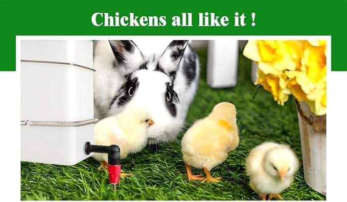 Automatic Drinker System Chick Water Cups 1L Hanging Automatic Fill Chick Cup Drinker Waterer Used for Cages (Green, 1)