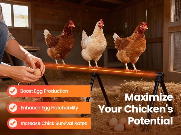 Heated Chicken Perch for Coop Thermo Heated Roosting Bar for Chickens Adjustable Temperature Heated Perch for Chicken Prevents Frozen Toes, Overheat Protection Chick Warm Coop Accessories