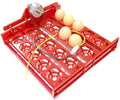 20 Egg Incubator Turn Eggs Tray Eggtester Automatically Turn The Eggs Experimental Teaching Equipment Voltage 220V / 110V / 12V(110V Motor)