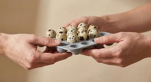 SplashNColor Quail Egg Tray Compatible with Maticoopx 20 Egg Incubator - Coturnix Quail Egg Rack - Compatible with Small Egg Incubators - Durable Egg Turner Accessory - 14 Slots - ABS White (1 Pack)