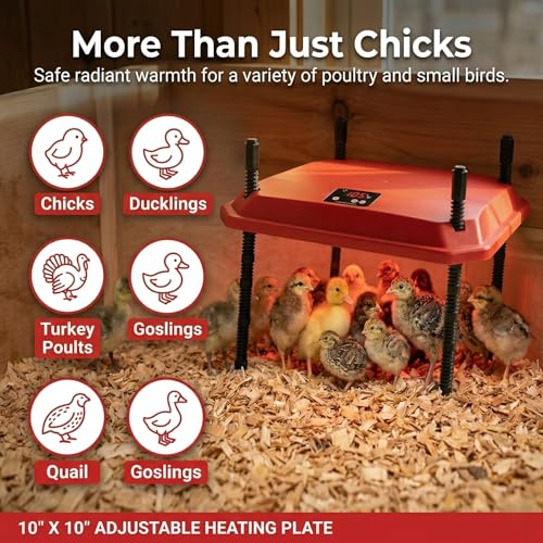 12"x12" Chick Brooder Heater Plate, Adjustable Poultry Heater with Cuttable Dividers - Polyester, Safe Heat Lamp Alternative - Image 7
