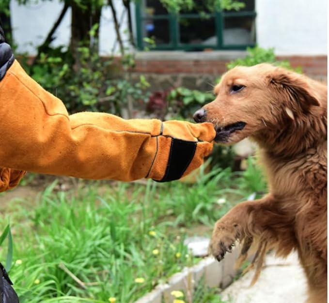 ISMARTEN Bird Animals Anti-Scratch Protective Gloves, Dogs Cats Parrot Training Working Glove