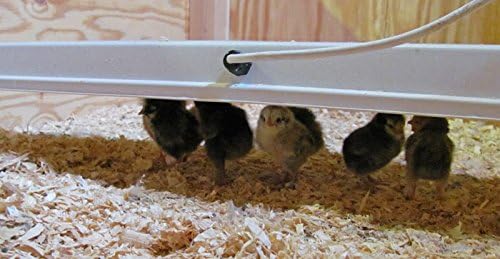 Infrared Heater for Chicks & Pets, Side Mount 11x30, 100 Watt