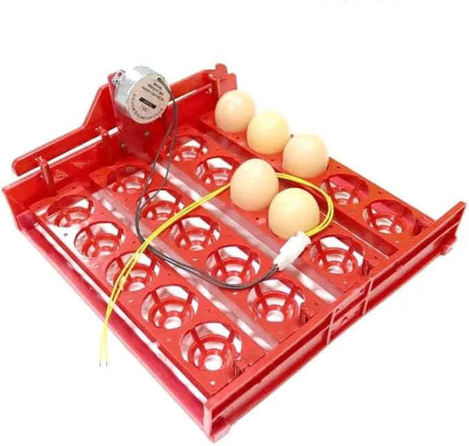 20 Egg Incubator Turn Eggs Tray Eggtester Automatically Turn The Eggs Experimental Teaching Equipment Voltage 220V / 110V / 12V(1I240 RPM 220V Motor)