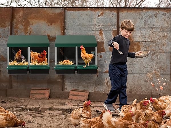 Outvita Chicken Nesting Boxes, 2 Compartments Chicken Egg Laying Box, Nesting Boxes for Chickens with Swing Perch and Roll Away Egg Collection for Chicken Coop, Green