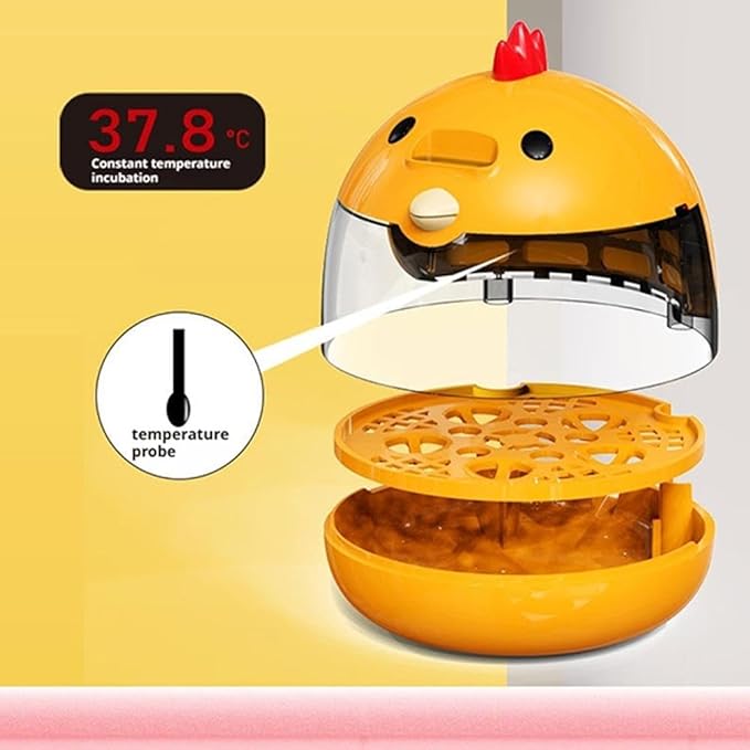Egg Incubator, Rutin Chicken Egg Incubator for Hatching Eggs, Small Clear Egg Hatching Incubator, Automatic Smart Control Hatcher Machine for Variety Size of Eggs