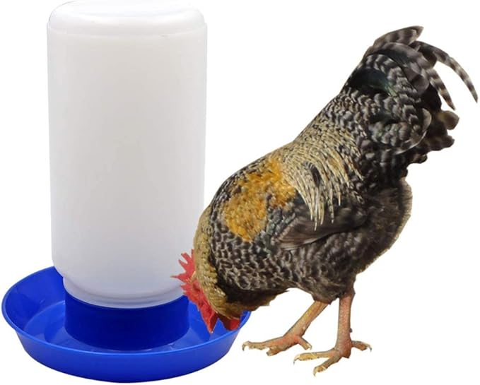 Poultry Water Jug Automatic Poultry Waterer Small Poultry Water Containers Drinkers for Chickens Birds Pigeon Quail 1L (Blue and White)