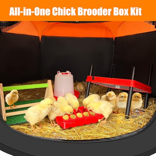 Phoncoo Brooder Box for Chick, Chick Starter Kit with Brooder Heating Plate - Oxford cloth & mesh fabric & metal - Image 5