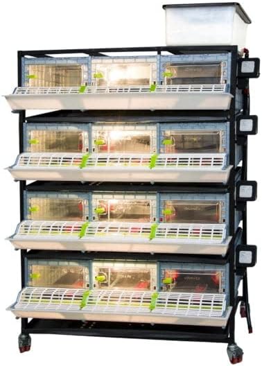Hatching Time 9.5" Chick Brooders – Stackable or 2-Section Options with Automatic Heating, Modular Design, Easy to Clean, Ideal for Quail, Pheasant, and Baby Chicks (4 Layer)