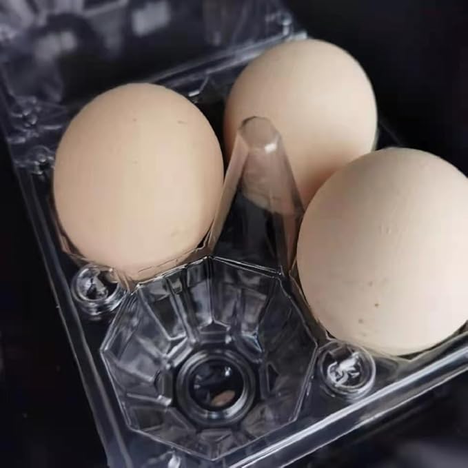 Limera Disposable Plastic Egg Cartons, Clear, 100 Pieces, Tray Egg Container Holder for Refrigerator (15 Egg Tray), Transparent