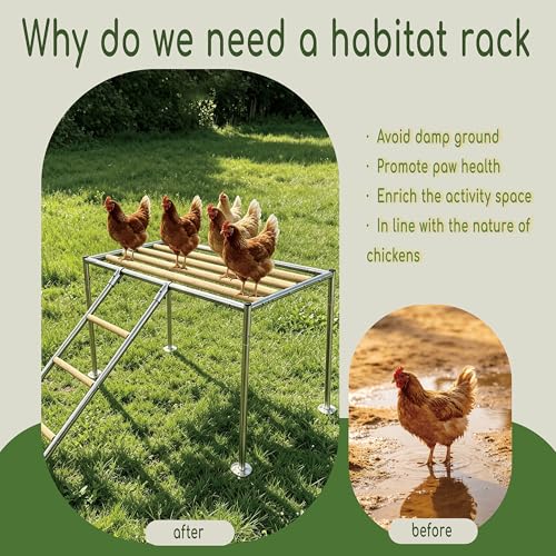 XCL Chicken Roosting Bars, Chicken Perch for Coop (Platform 42" L x 24" W) - Wood color, Galvanized pipe material & timber - Image 3