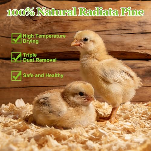 10LB Premium 100% Natural Radiata Pine Shavings for Chicken Coop Bedding,Wood Pine - 10 pounds, 10 Pack - Image 3