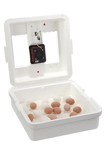 Little Giant® Digital Still Air Incubator | 41 Egg Capacity | Chick Egg Hatching Incubator with Temperature and Humidity Control | Made in USA