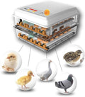 Digital Incubatores,Egg Incubator with Automatic Turning Function, Digital Automatic Hatcher with Temperature Control,for Egg Duck Egg Bird Egg Turkey Eggs Home, White-12 Egg