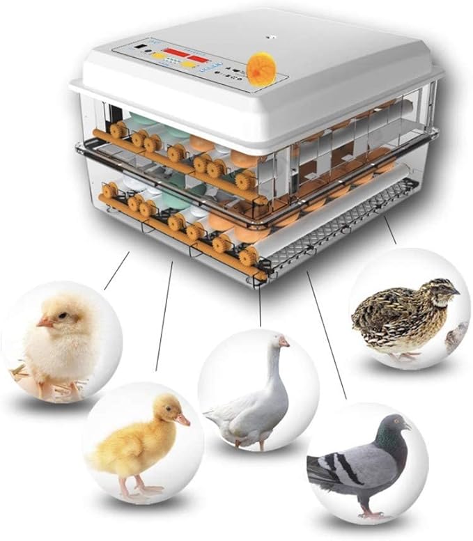 Digital Incubatores,Egg Incubator with Automatic Turning Function, Digital Automatic Hatcher with Temperature Control,for Egg Duck Egg Bird Egg Turkey Eggs Home, White-56 Egg