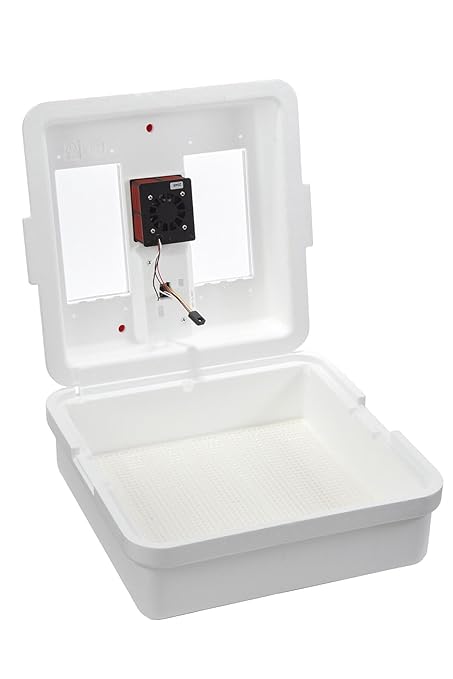 Little Giant® UL Circulated Air Incubator with Automatic Turner | Fits 41 Large Eggs | Chick Egg Hatching Incubator with Fan and Temperature and Humidity Control | Made in USA