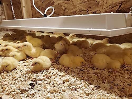 Safe Heater for Chicks, Coops, & Animals, OH11x40, 150 Watt