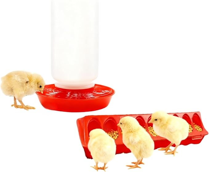 12-Hole No-Scratch & Spill-Proof Chick Feeder, Leak-Resistant Chick Waterer, and Poultry Waterer with Perches - Complete Brooder/Coop Starter Kit for Raising Poultry (B Set)