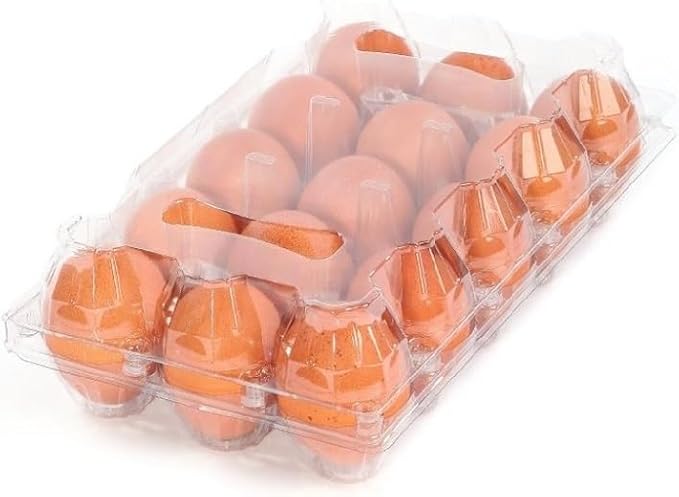 Limera Disposable Plastic Egg Cartons, Clear, 100 Pieces, Tray Egg Container Holder for Refrigerator (15 Egg Tray), Transparent
