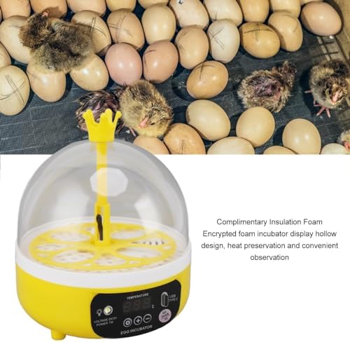 Luqeeg Mini Egg Incubator, Temperature Control Digital Incubators, 4 Eggs Candler Poultry Hatching Machine Eggs Poultry Hatching Machine for Chickens Ducks Pigeons (Auto Turning)