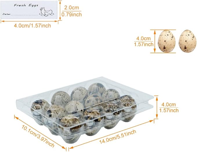 Quail Egg Cartons 60 Packs, Clear Eco-friendly Plastic Blank Egg Cartons with Free Labels, Holds up to 12 Quail Eggs Securely, Perfect for Family Pasture Farm Markets Display - Small